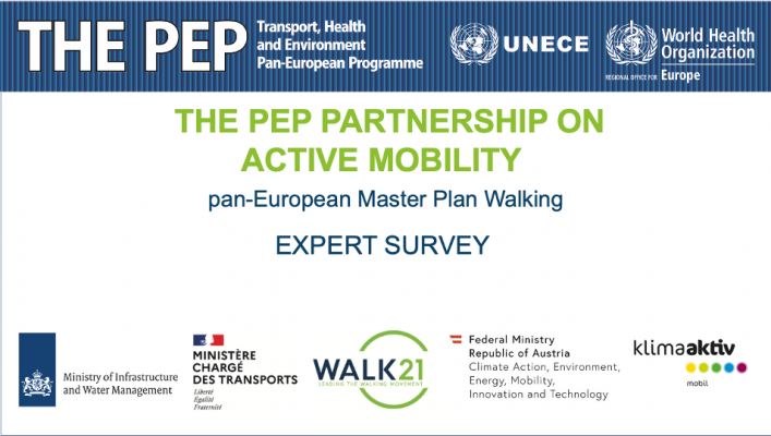 THE PEP expert survey